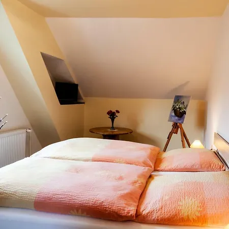 Apartmán Ferienwohnungen Ludwigsthal *