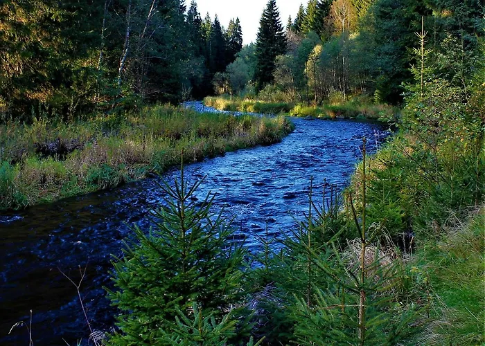 Daire Ferienwohnungen Ludwigsthal *